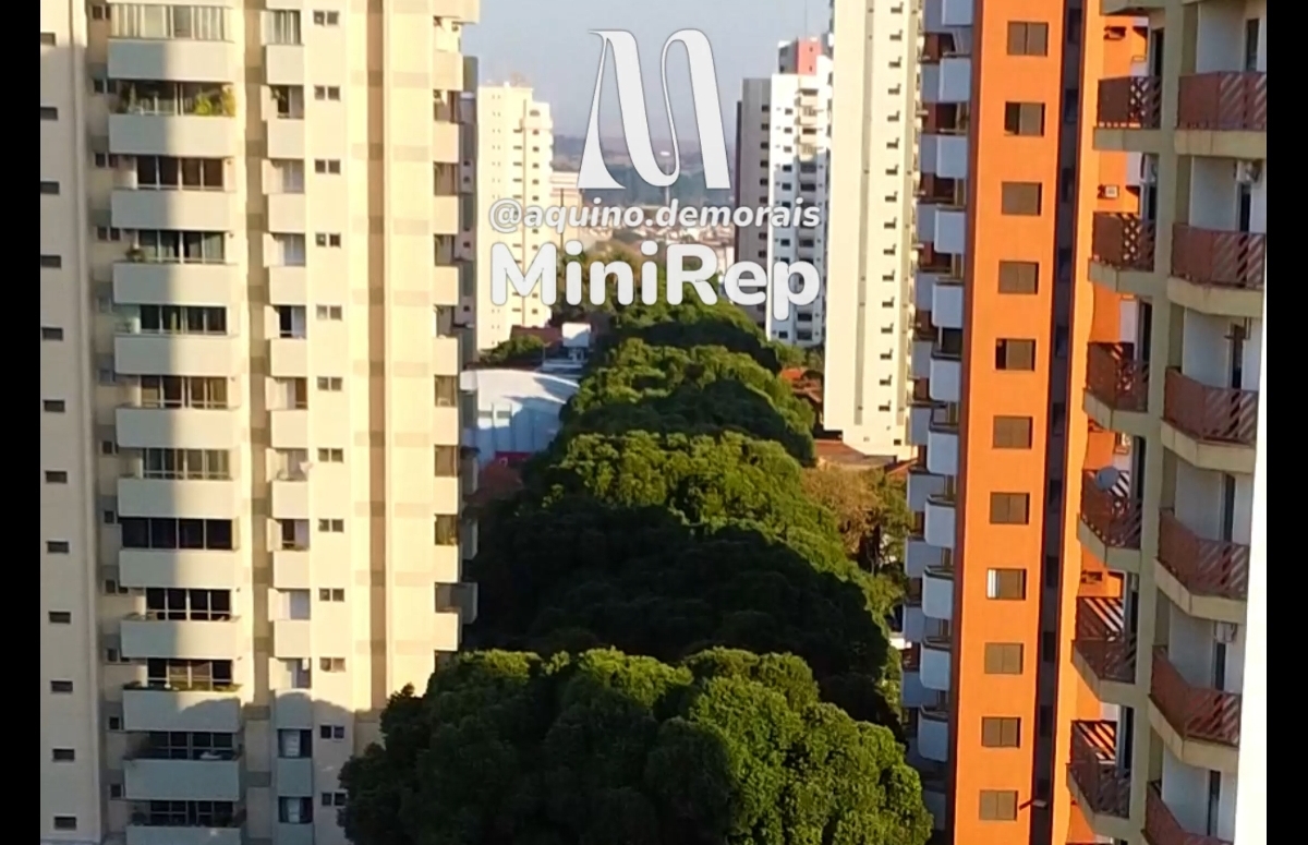 Por quê Rua Voluntários da Pátria?