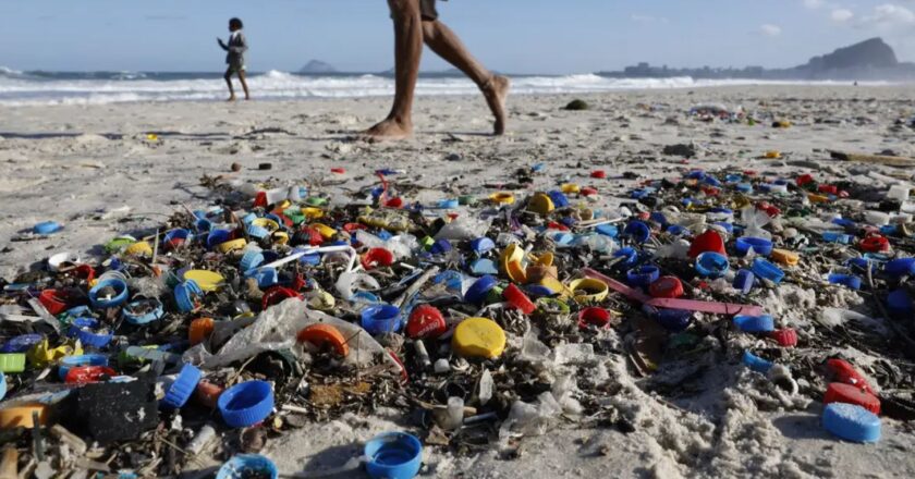 Micro e nanoplásticos contaminam alimentos como açúcar, sal, mel, e até o ar que respiramos, diz estudo