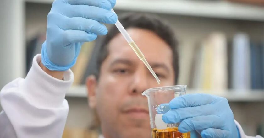 Metanol: crise completa um mês com alerta para falsificação de bebidas